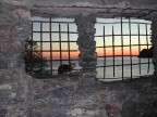 Il tramonto del gatto Il tramonto del gatto