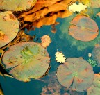 Specchio d'acqua impressionista Specchio d'acqua impressionista