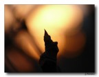 luci e ombre