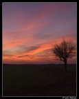 Ultimo tramonto del 2006 Ultimo tramonto del 2006