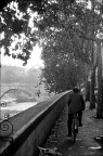 Lungotevere Lungotevere