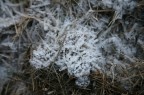 Quel poco inverno che ci rimane...... Quel poco inverno che ci rimane......