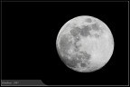 E la luna bussò... E la luna bussò...