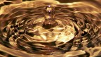 Acqua Acqua