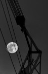 La luna nella gru La luna nella gru