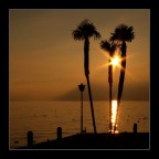 tramonto "palmifero" :p tramonto "palmifero" :p