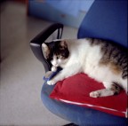 Il mio Maul Il mio Maul