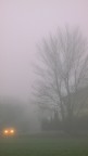Nella nebbia Nella nebbia