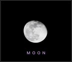 Moon Moon