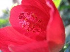 inverno in riviera inverno in riviera