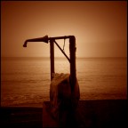 All the Love I have All the Love I have