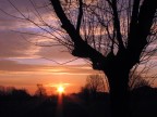 Alba di Forlì Alba di Forlì