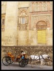 Cordoba Cordoba