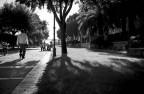 SX SX