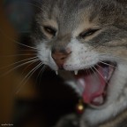 Yawnnnn...