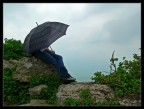Nei dintorni di Volterra, dopo una leggera pioggia, la natura si risveglia e ti circonda...

Lumix FZ20
1/500
f4.0

Commenti sempre graditi!