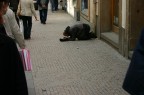 indifferenza indifferenza