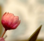 tenerezza.. tenerezza..