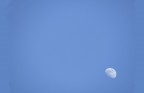 Luna Luna