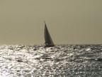 Vela Vela