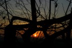 TRAMONTO TRAMONTO
