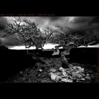 dear witch... dear witch...