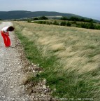 2006-08-20_2462 - san lorenzo di treia MC 2006-08-20_2462 - san lorenzo di treia MC