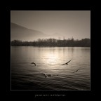 e i miei pensieri si librano in aria... e i miei pensieri si librano in aria...