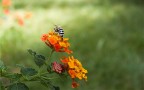 un attimo di sosta un attimo di sosta