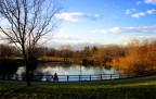 panorama panorama