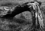 contorto e spezzato contorto e spezzato