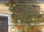 muschio e salnitro muschio e salnitro