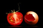 Uovo e Pomodoro 2 Uovo e Pomodoro 2