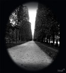 Infinito... Infinito...