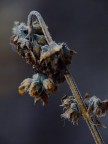 senza vita..Atto II^ senza vita..Atto II^