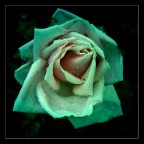 Porcelaine Porcelaine