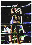Thaibox