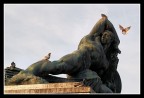 Monumento ai caduti Monumento ai caduti