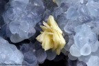 Smithsonite con Barite Smithsonite con Barite