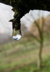 riflesso riflesso