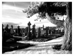cimitero2 cimitero2