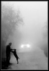 E adesso chi arriva?... E adesso chi arriva?...