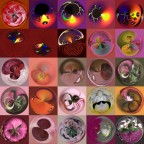 collage collage