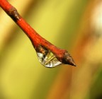 solita goccia2! solita goccia2!