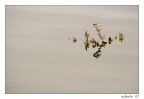 ::.riflessione.:: ::.riflessione.::