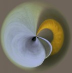 in arte calla in arte calla