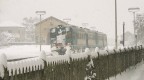 Transiberiana locale Transiberiana locale