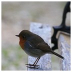 Sulla panchina... Sulla panchina...