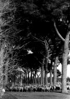My roman country 11 My roman country 11