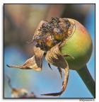 fine di una vita... fine di una vita...